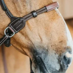 Dyon - Bridon sans mors Working by Dy'on havane