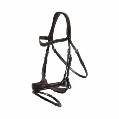 Dyon - Bridon Working Motion Working By Dyon havane