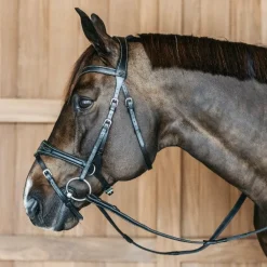 Dyon - Bridon Working Motion Working By Dyon noir