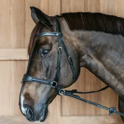 Dyon - Bridon Working Motion Working By Dyon noir