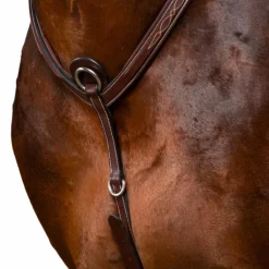 Dyon - Collier de chasse à pont US Collection brun