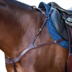 Dyon - Collier de chasse anatomique New English Collection brun