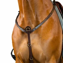 Dyon - Collier de chasse D Collection brun