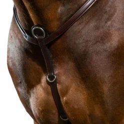 Dyon - Collier de chasse New English Collection brun