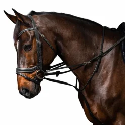 Dyon - Enrênement Howlett complet Working by Dyon noir