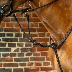 Dyon - Fourchette de martingale à anneaux élastique D Collection brun