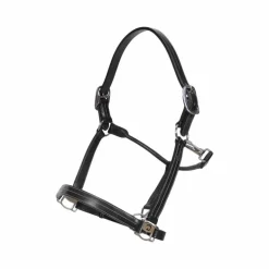 Dyon - Licol US Working by Dy'on collection noir