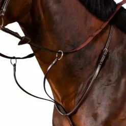 Dyon - Martingale à anneaux US Collection brun