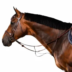 Dyon - Martingale à anneaux US Collection brun