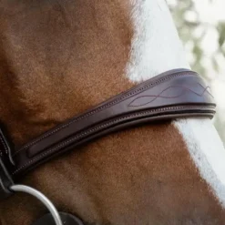 Dyon - Muserolle anatomique sans flash English Collection marron