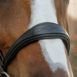 Dyon - Muserolle anatomique sans flash English Collection noir