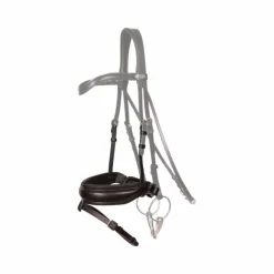 Dyon - Muserolle combinée Crank Matt noir