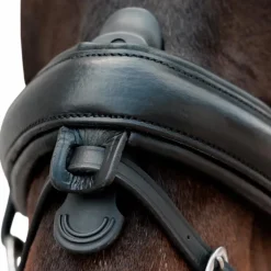 Dyon - Muserolle combinée Crank Matt noir