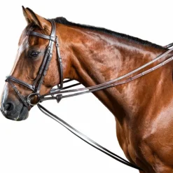 Dyon - Rênes allemandes Hunter 1/2 Working By Dyon marron