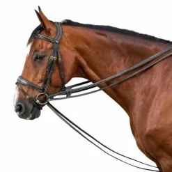 Dyon - Rênes allemandes tout cuir 1/2 D Collection noir