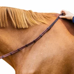 Dyon - Rênes caoutchouc 5/8 avec arrêtoirs et mousqueton Working brun