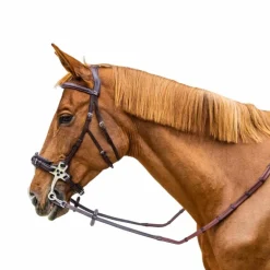 Dyon - Rênes caoutchouc 5/8 avec arrêtoirs et mousqueton Working brun