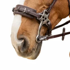 Dyon - Rênes caoutchouc 5/8 avec arrêtoirs et mousqueton Working brun