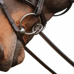 Dyon - Rênes caoutchouc 1/2 avec 7 arrêtoirs fermeture à anneaux marron