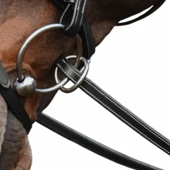 Dyon - Rênes caoutchouc 1/2 avec 7 arrêtoirs fermeture à anneaux noir