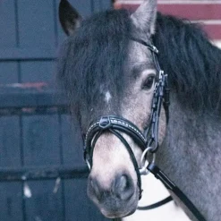 Eden by Pénélope - Bridon Eden avec rênes noir