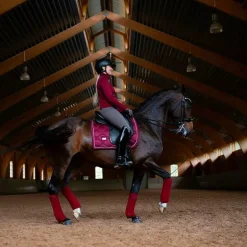 Equestrian Stockholm - Bandes de polo Bordeaux (x4)
