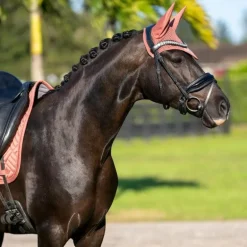 Equestrian Stockholm - Bonnet pour chevaux Modern Coral