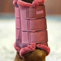 Equestrian Stockholm - Guêtres fermées Amber Rose