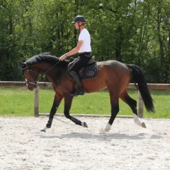 Equiline - Bonnet Kim noir