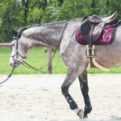 Equiline - Bonnet long pour chevaux noir