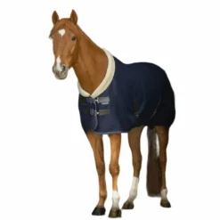 Equithème - Chemise Mesh Teddy marine