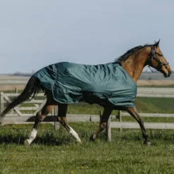 Equithème - Couverture d'extérieur Tyrex 600D 150g vert
