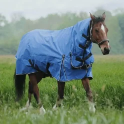 Equithème - Couverture d'extérieur Tyrex Aisance 1200D Combo bleu roi 100g