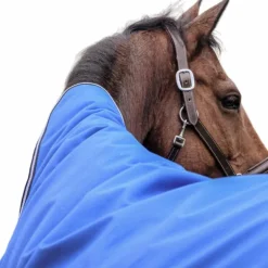Equithème - Couverture d'extérieur Tyrex Aisance 1200D Combo bleu roi 100g