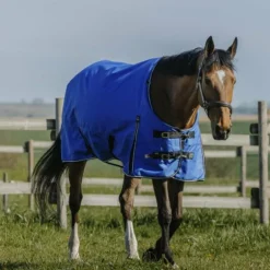 Equithème - Couverture d'extérieur Tyrex Aisance 1200D High Neck bleu roi 150g