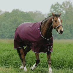 Equithème - Couverture d'extérieur Tyrex 1200D bordeaux 0g