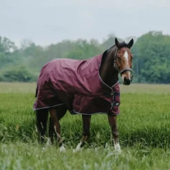 Equithème - Couverture d'extérieur Tyrex 1200D High Neck bordeaux 50g