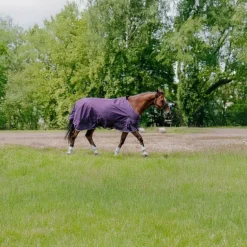 Equithème - Couverture Tyrex Aisance 600D prune 300g