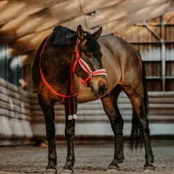 Equithème - Ensemble licol + longe Xmas rouge