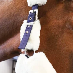 Equithème - Licol de transport Teddy marine/ écru