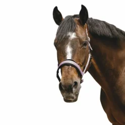 Equithème - Licol Nylon Jacquard rose