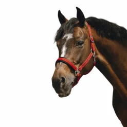 Equithème - Licol Nylon Jacquard rouge