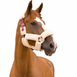 Equithème - Licol Teddy bordeaux/ écru