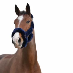 Equithème - Licol Teddy marine