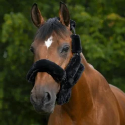 Equithème - Set Teddy pour licol noir