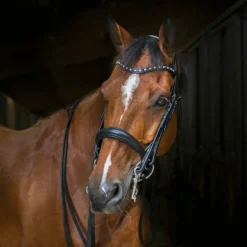 Eric Thomas - Bride doublée Clarino strass noir