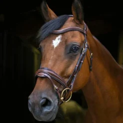 Eric Thomas - Bridon Design havane