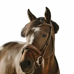 Eric Thomas - Bridon Visby havane