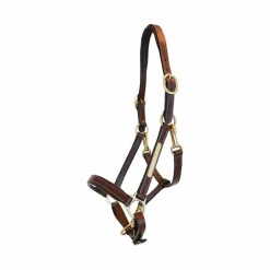 Eric Thomas - Licol cuir Grooming havane