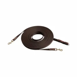 Eric Thomas - Longues rênes havane